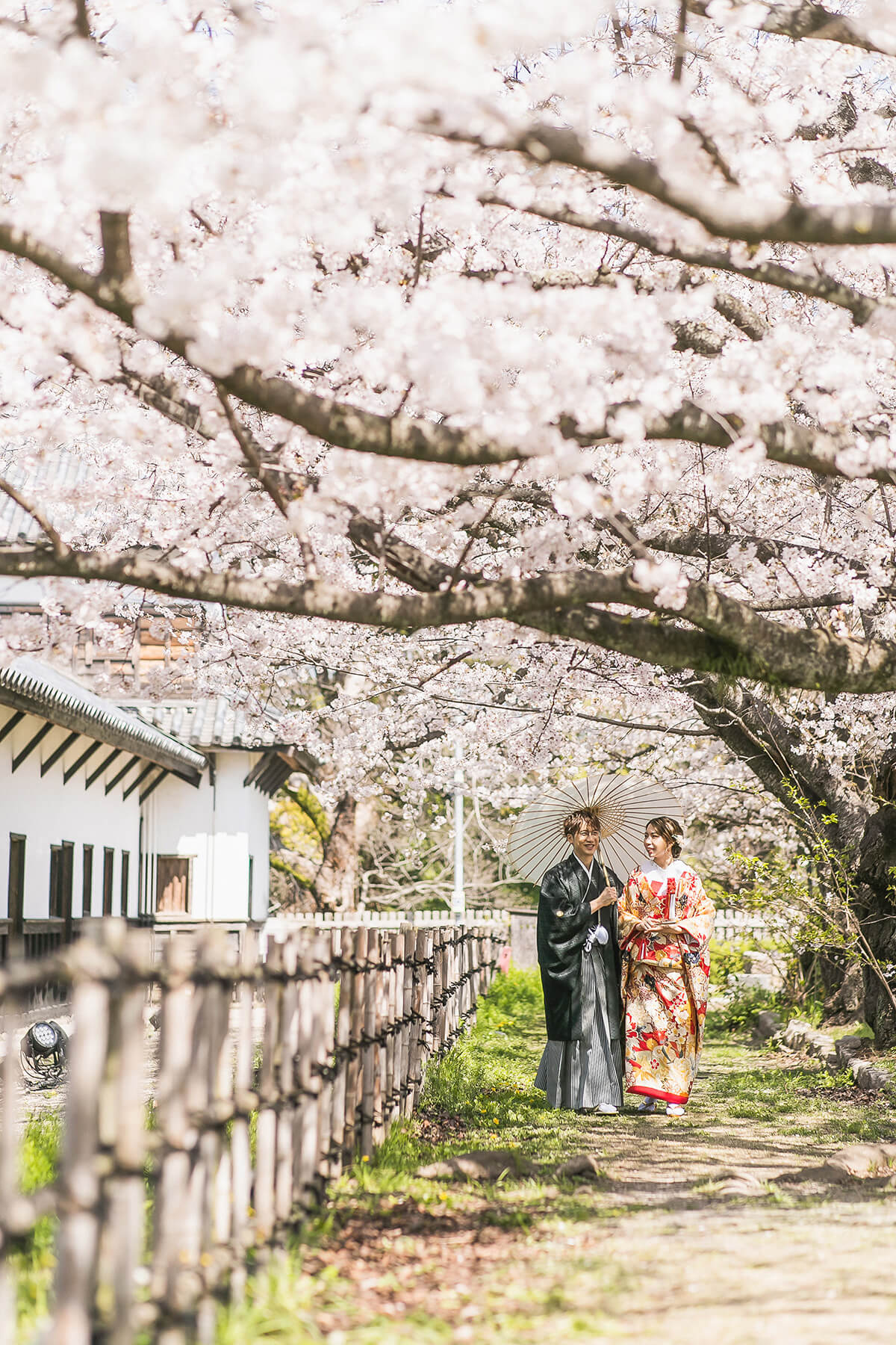 Fukuoka - 雅