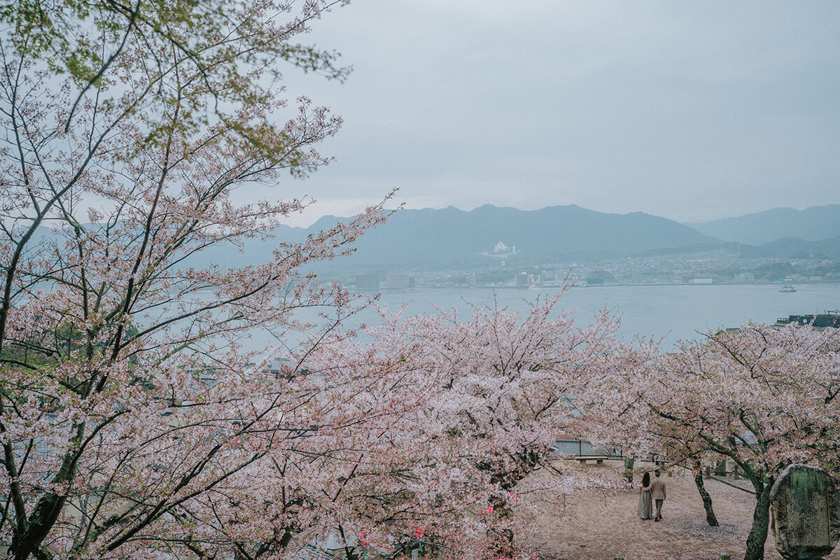 Hiroshima - 撫子