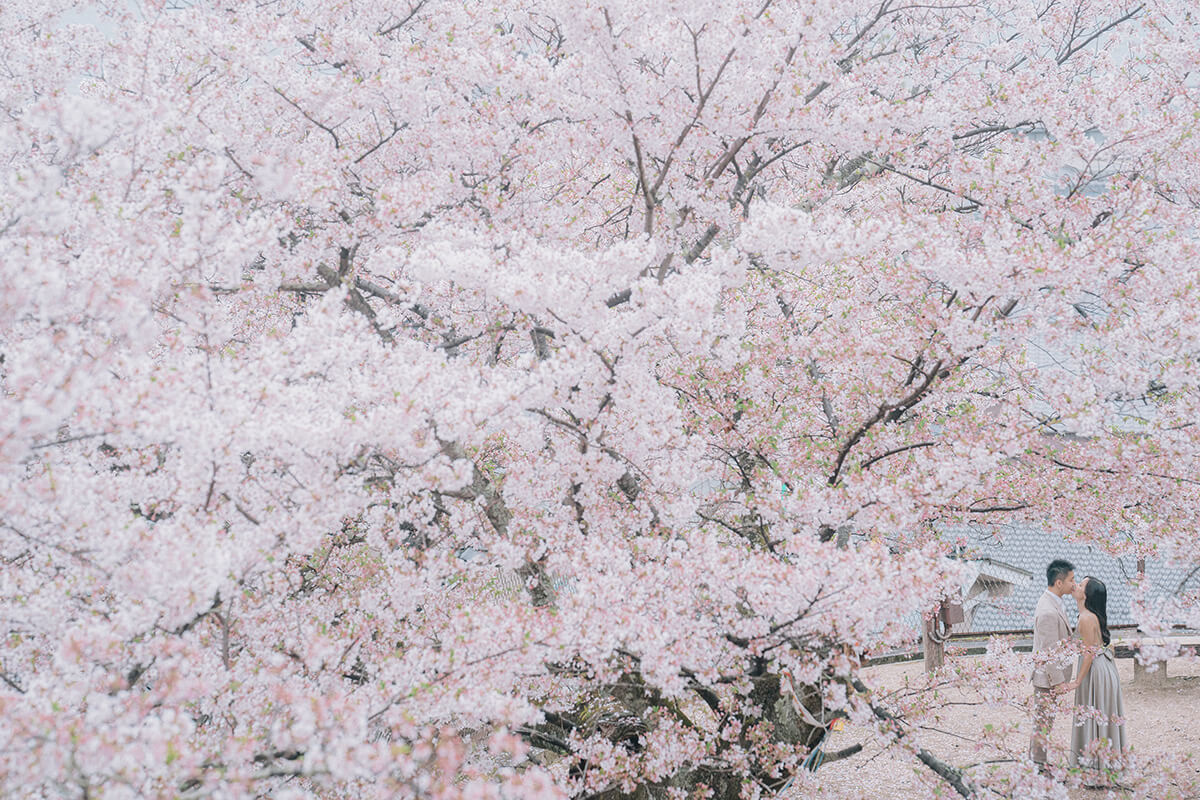 Hiroshima - Nadeshiko Photo by Tanakame