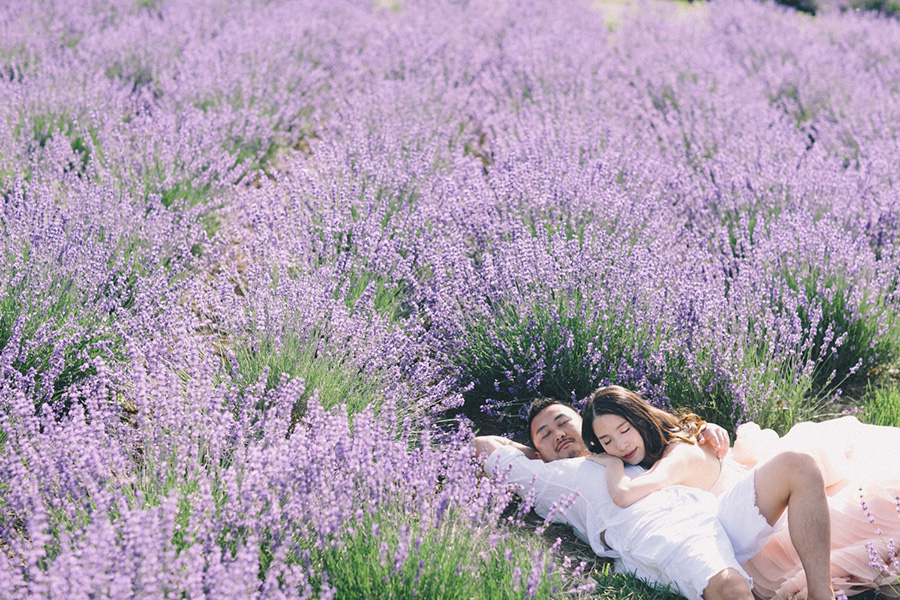 Hokkaido Furano - labo-la