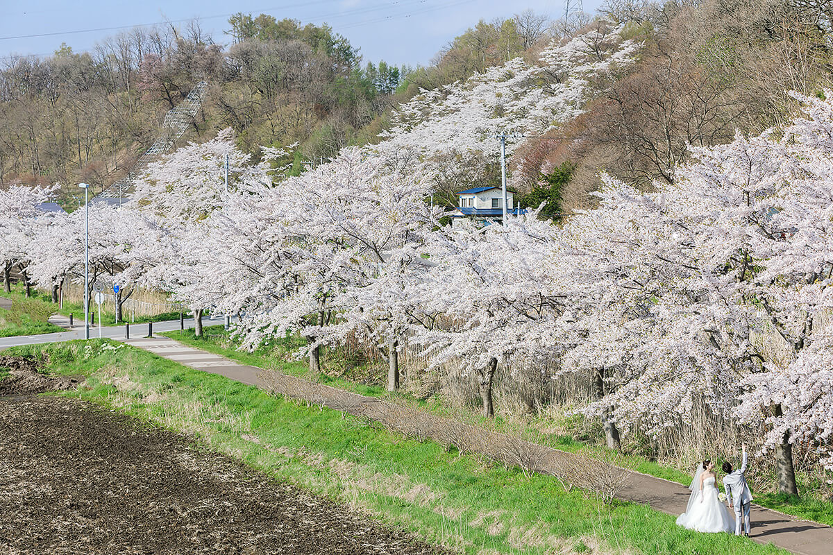 Hokkaido - 絢爛