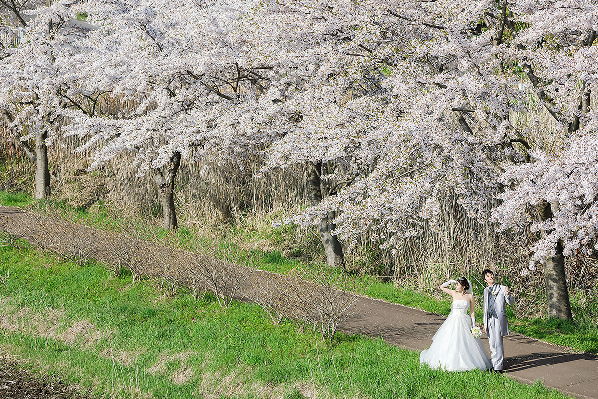 Hokkaido - 絢爛