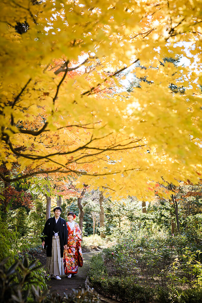 Hokkaido - 雅