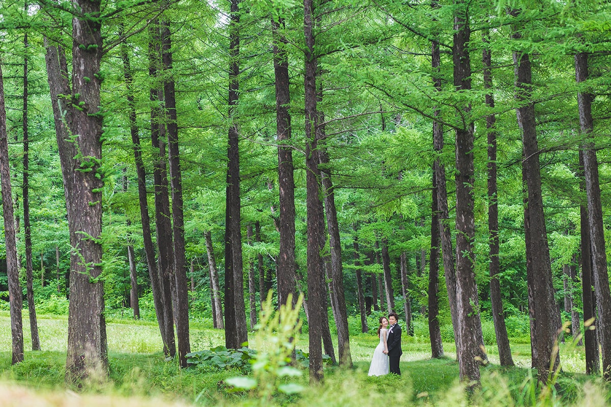 Hokkaido Furano - acréée