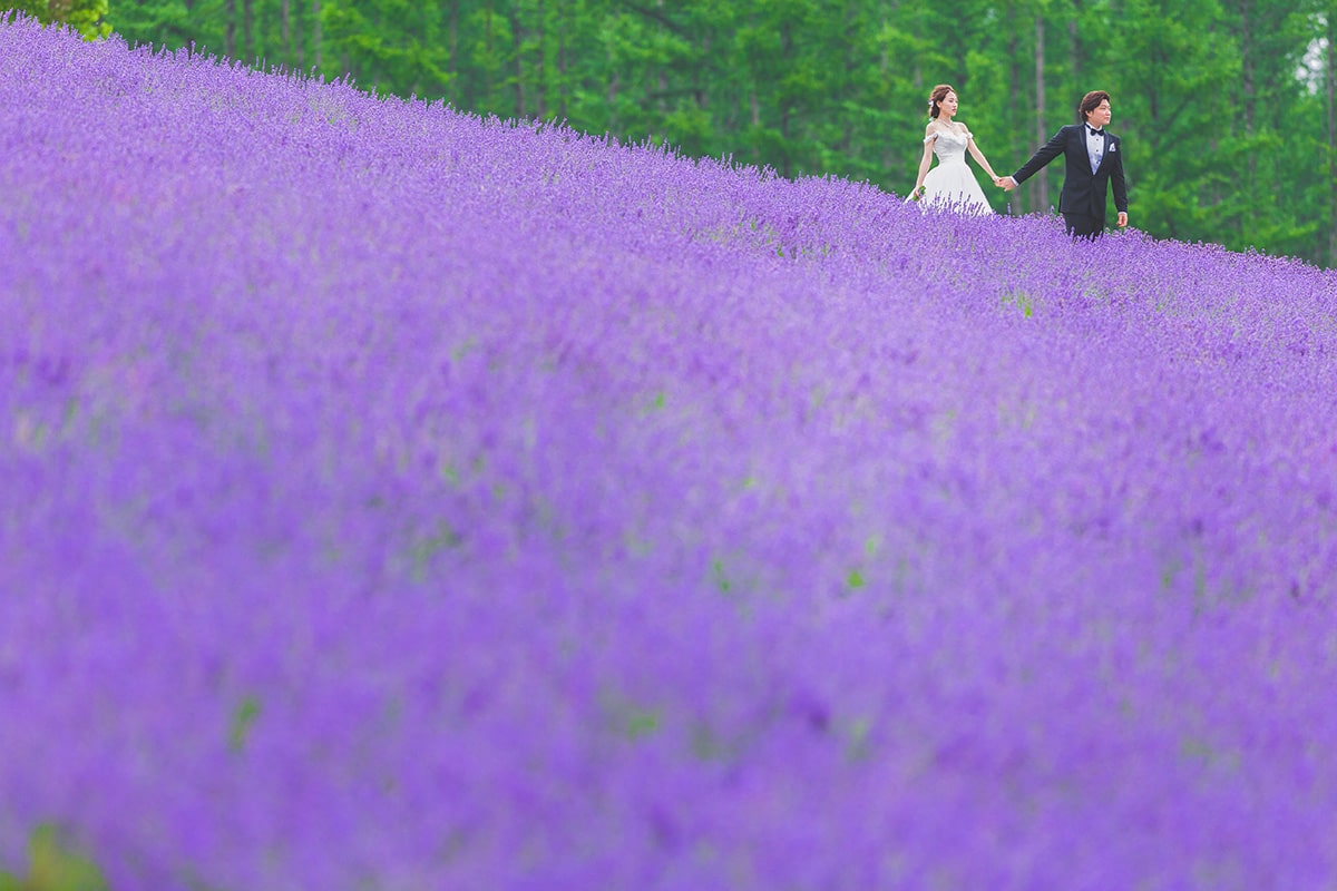 Hokkaido Furano - acréée