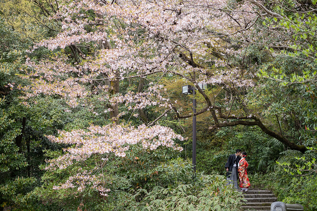 Kanazawa - 絢爛