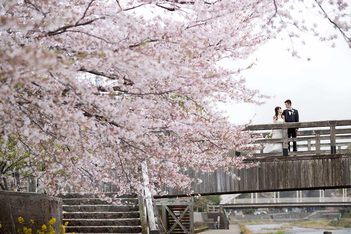 Kanazawa - 絢爛