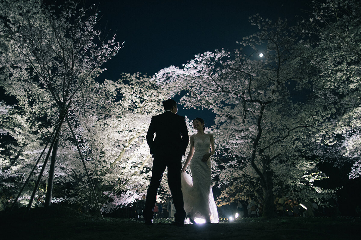 Kyoto - Premium 1Day