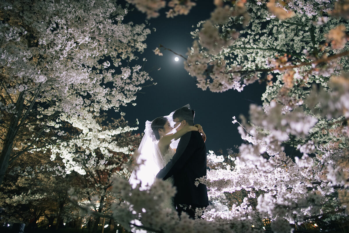 Kyoto - Premium 1Day