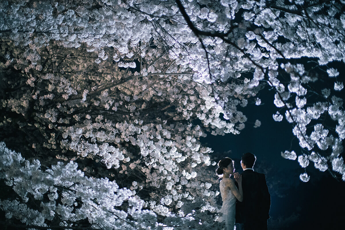 Kyoto - Premium 1Day