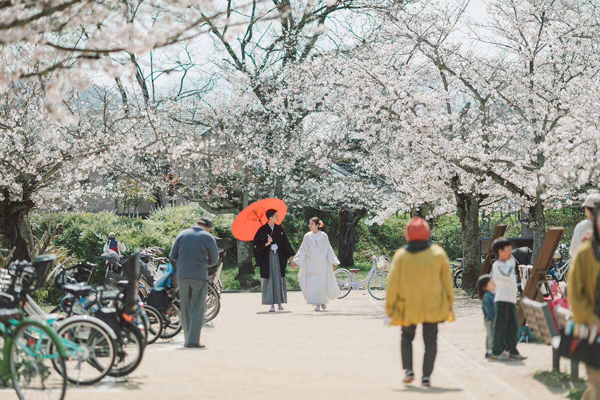 Matsuyama - 絢爛