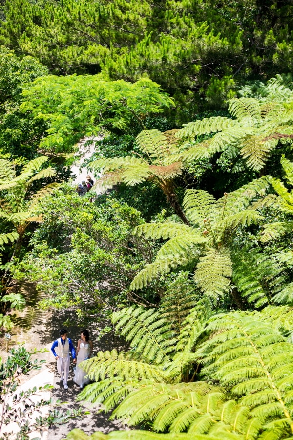 Okinawa - 撫子