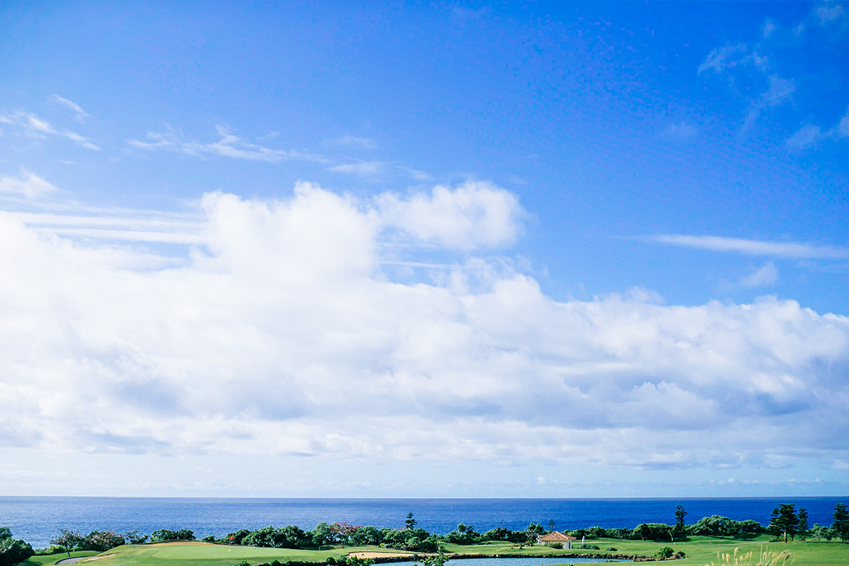 Okinawa Miyakojima - 撫子