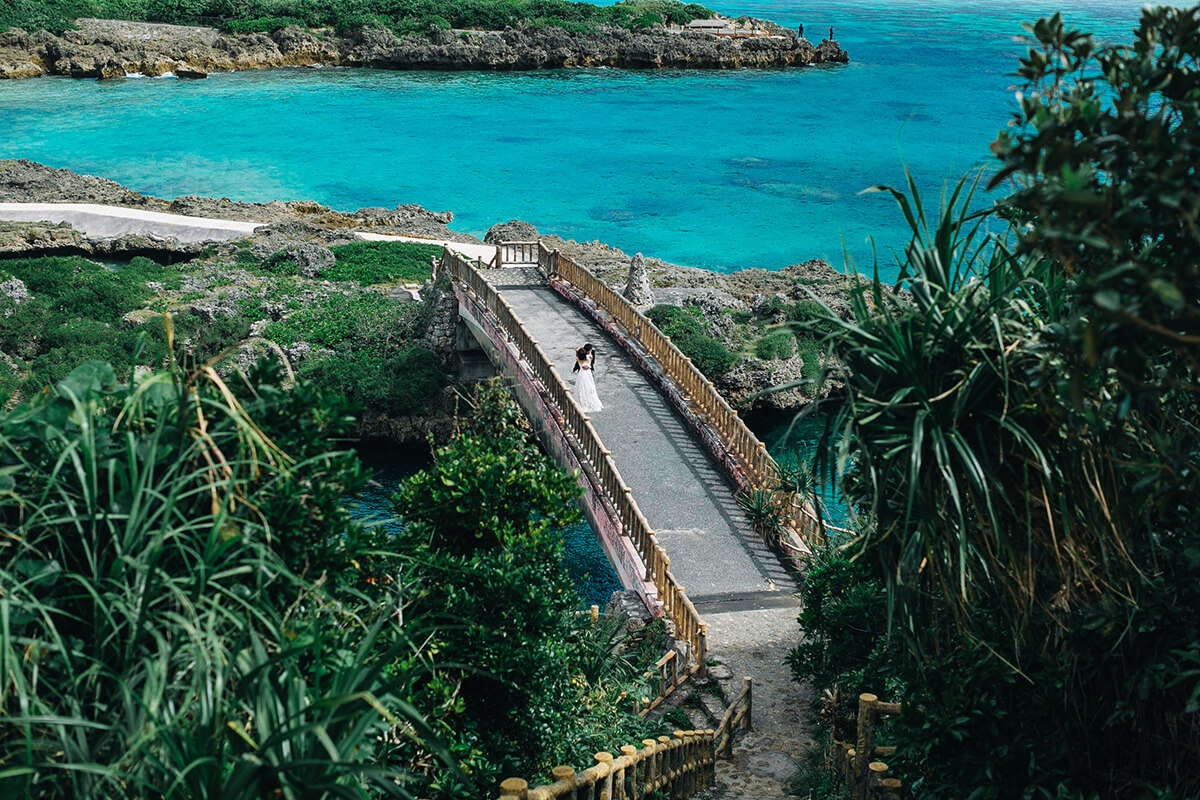 Okinawa Miyakojima - 撫子