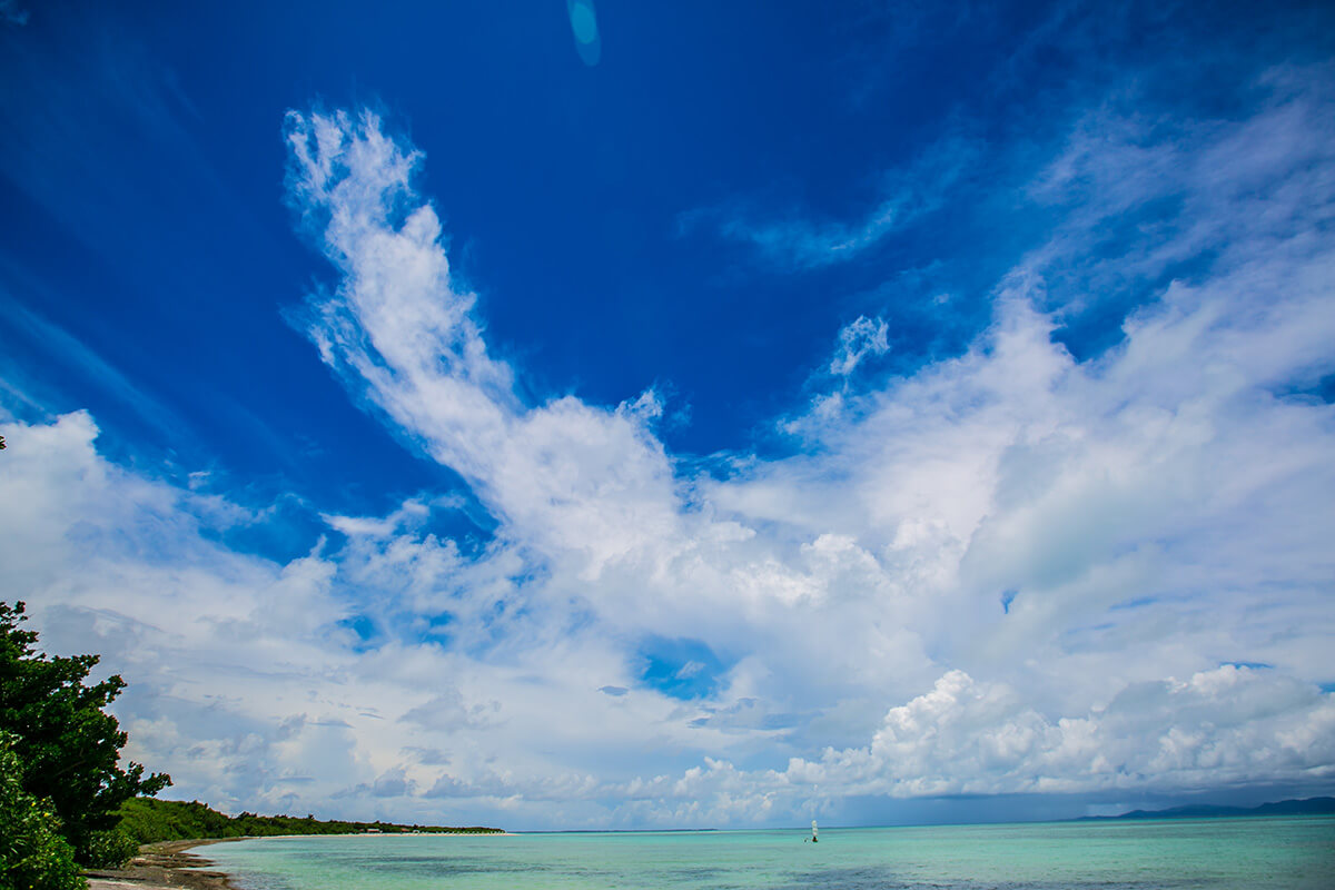 Okinawa Taketomi Island - bibi