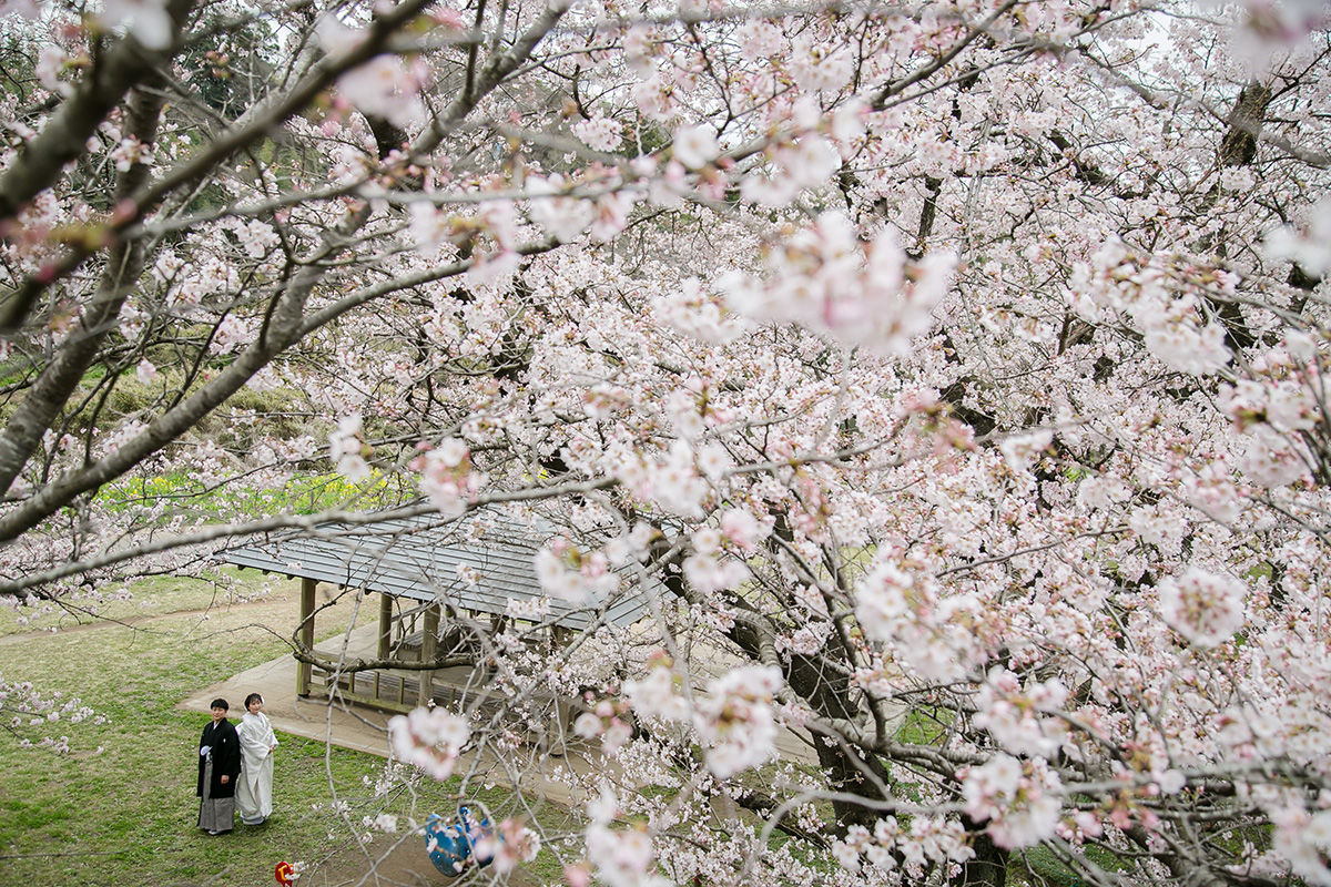 Hanashima Park/[Chiba/Japan]