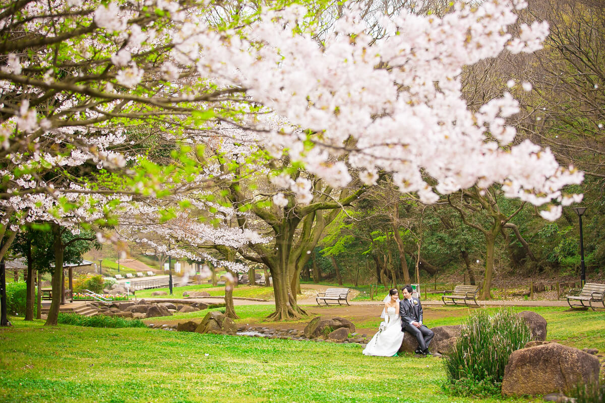 Hanashima Park/[Chiba/Japan]