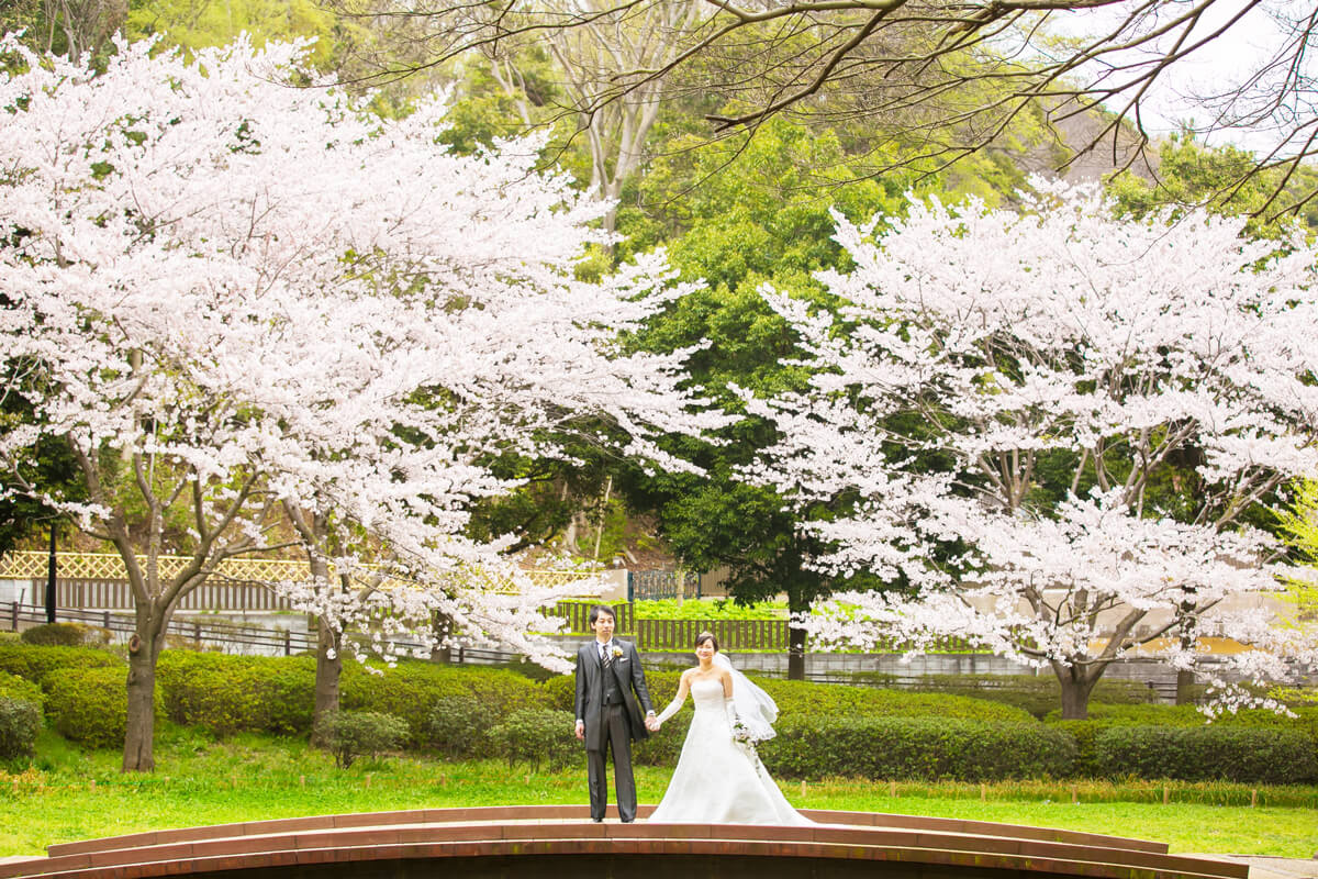 Hanashima Park/[Chiba/Japan]