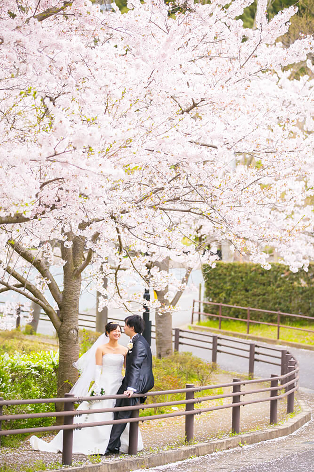 Hanashima Park/[Chiba/Japan]