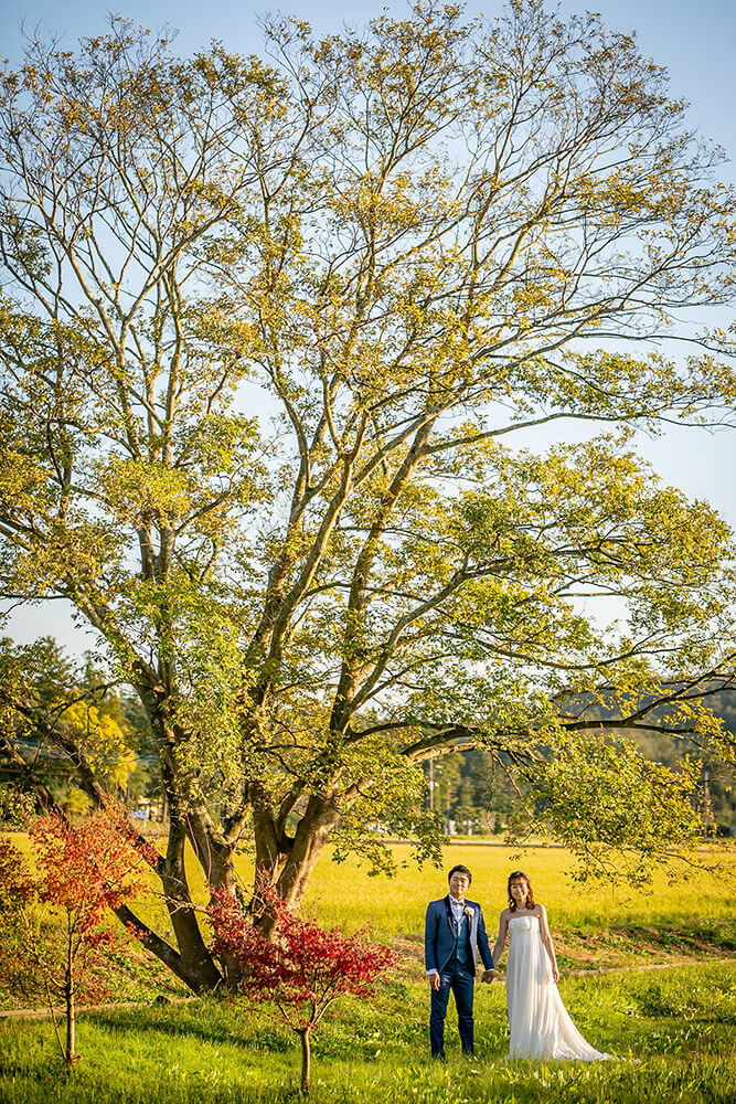 Kazusa tsurumai/[Chiba/Japan]