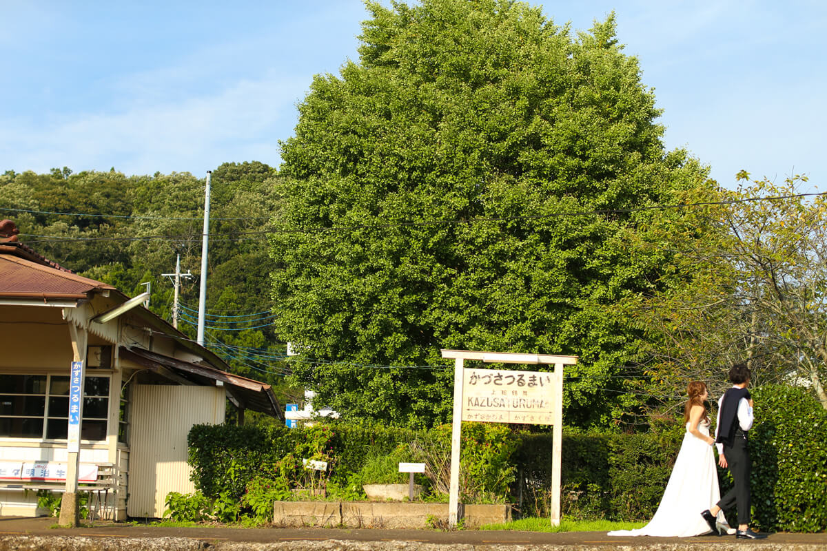 Kazusa tsurumai/[Chiba/Japan]