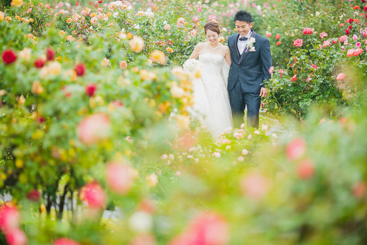 Rose garden/[Chiba/Japan]