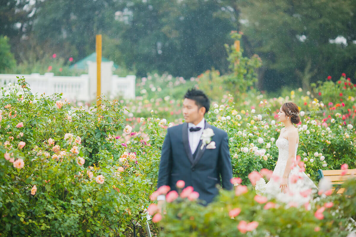 Rose garden/[Chiba/Japan]