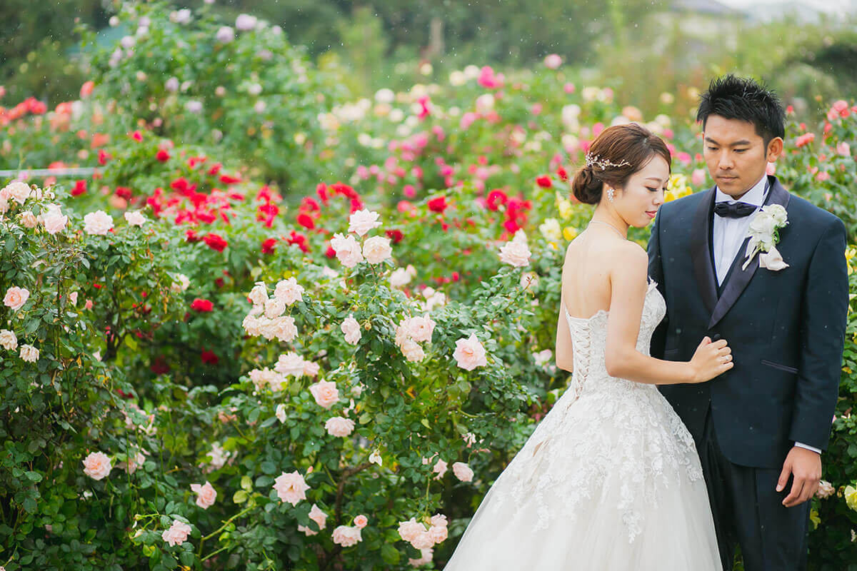 Rose garden/[Chiba/Japan]