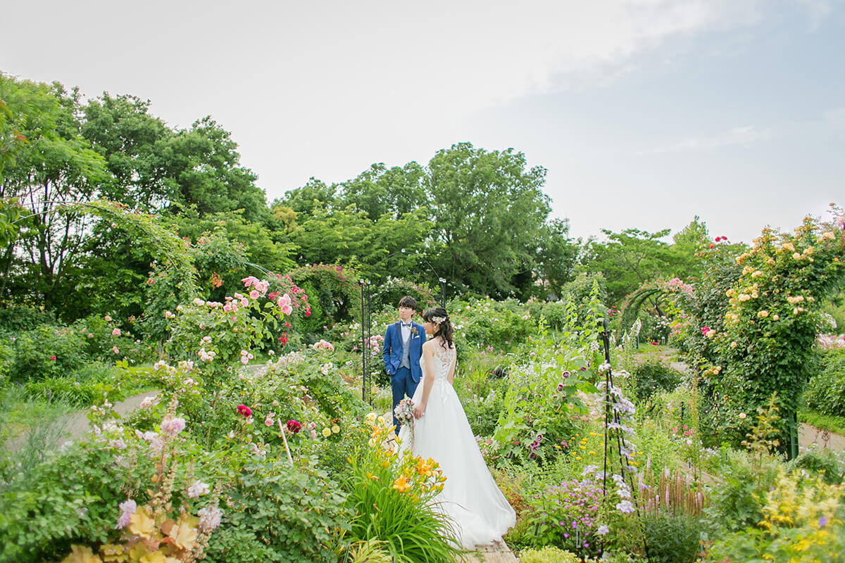 Rose garden/[Chiba/Japan]