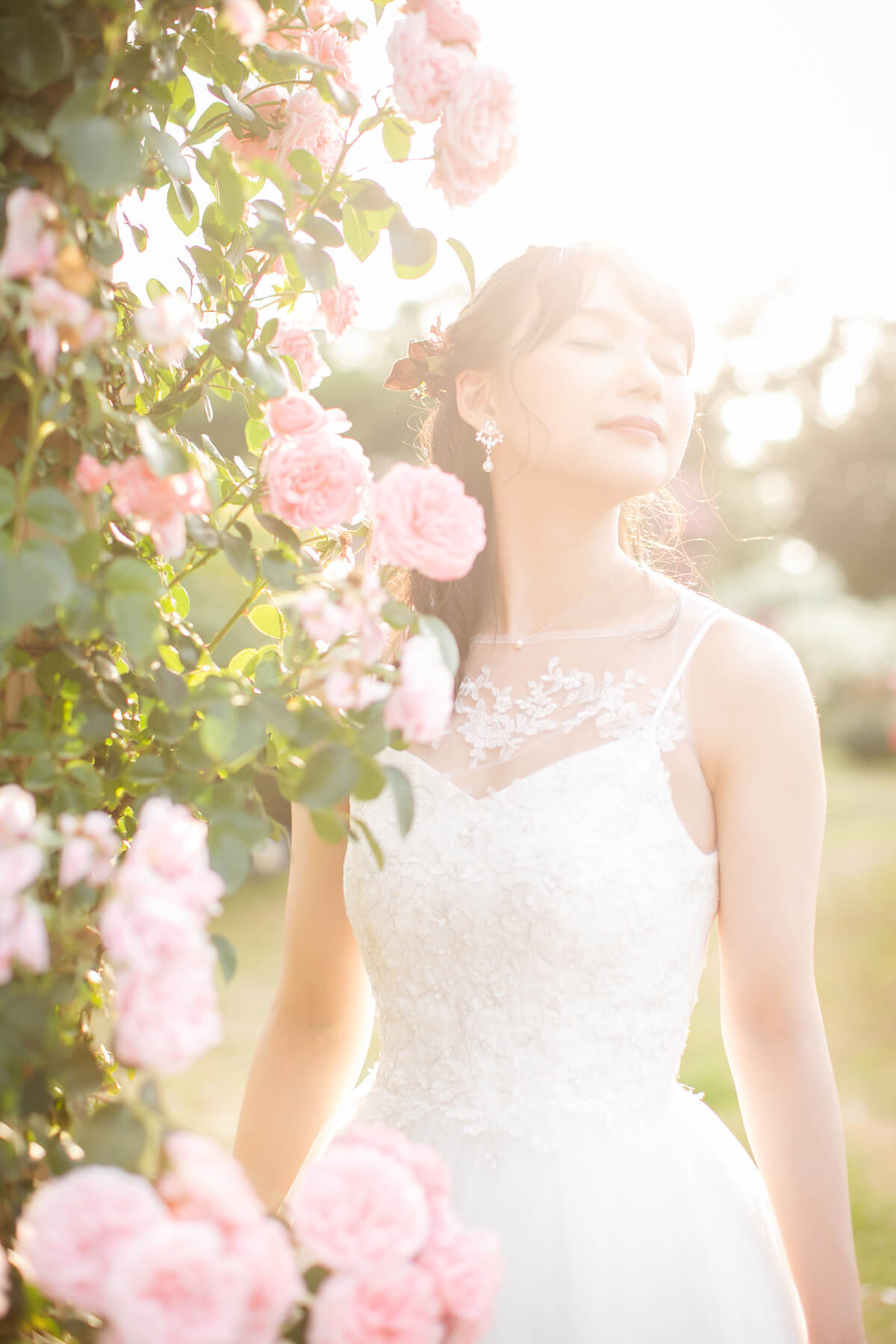 Rose garden/[Chiba/Japan]