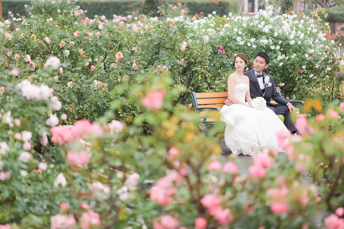 Rose garden/[Chiba/Japan]