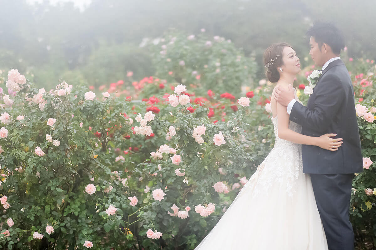 Rose garden/[Chiba/Japan]