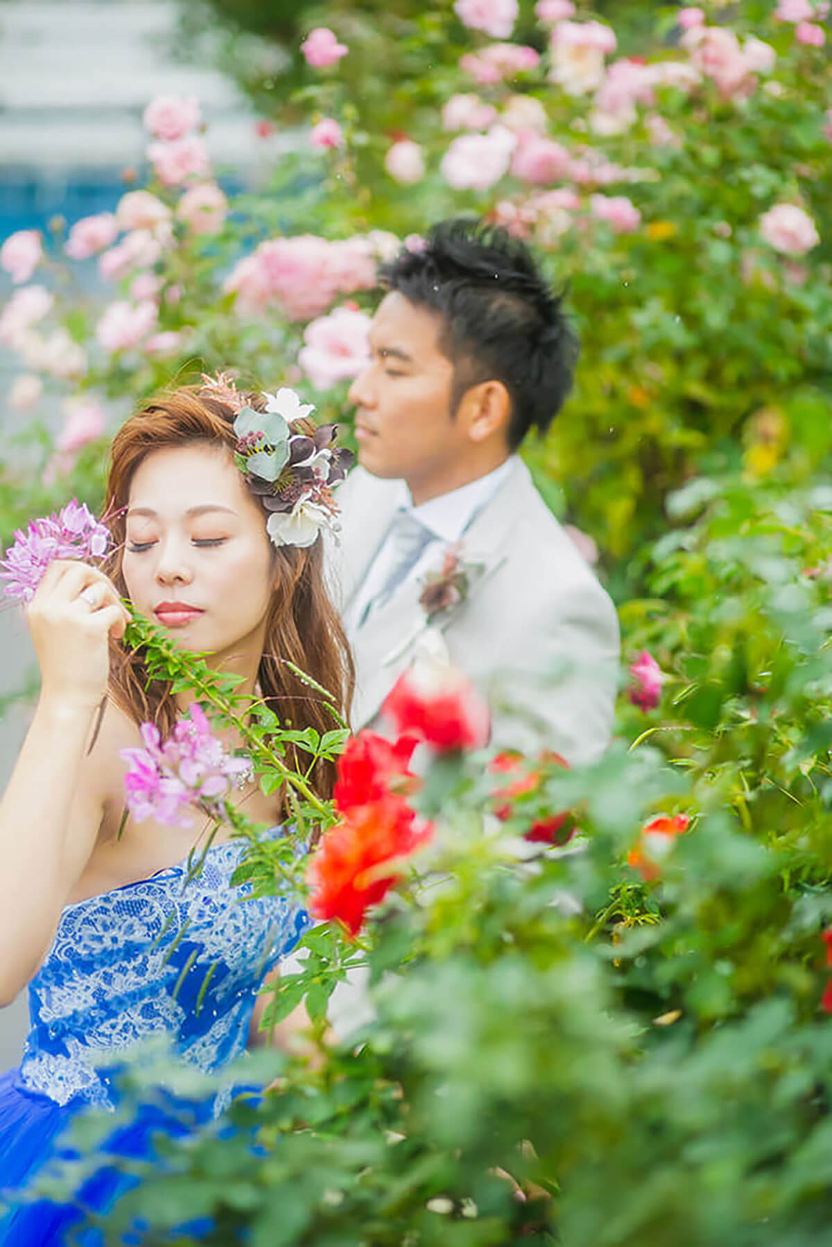 Rose garden/[Chiba/Japan]