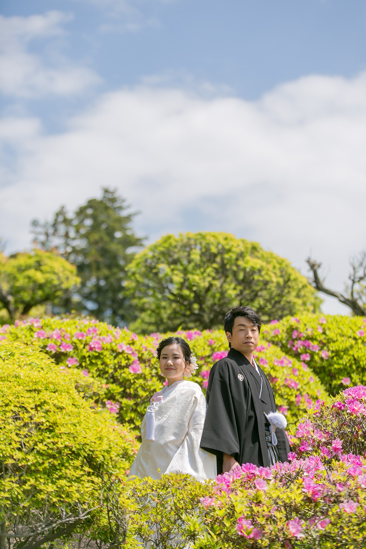 Suisute/[Chiba/Japan]