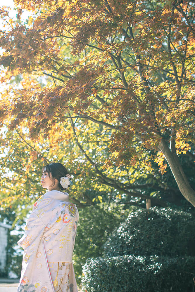 Momiji Hachimangu Shrine/[Fukuoka]