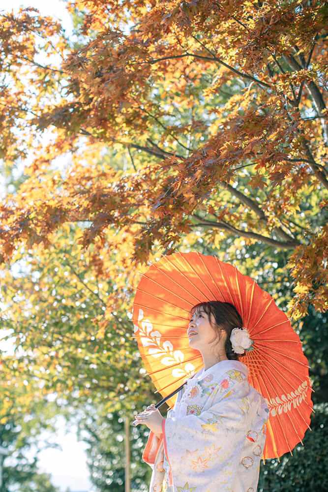 Momiji Hachimangu Shrine/[Fukuoka]