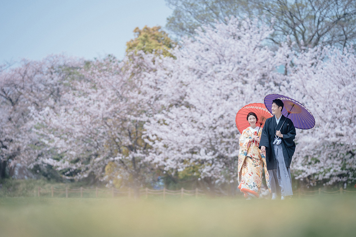 Maizuru Park [Fukuoka]