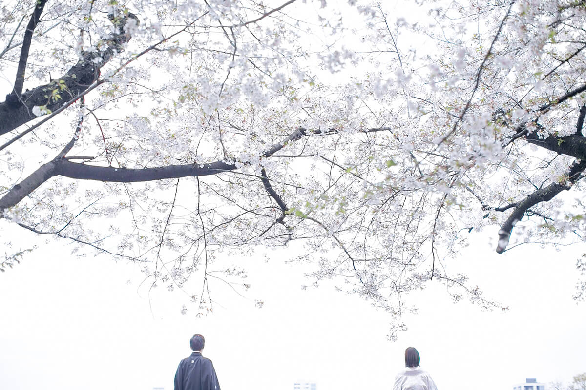 Maizuru Park [Fukuoka]