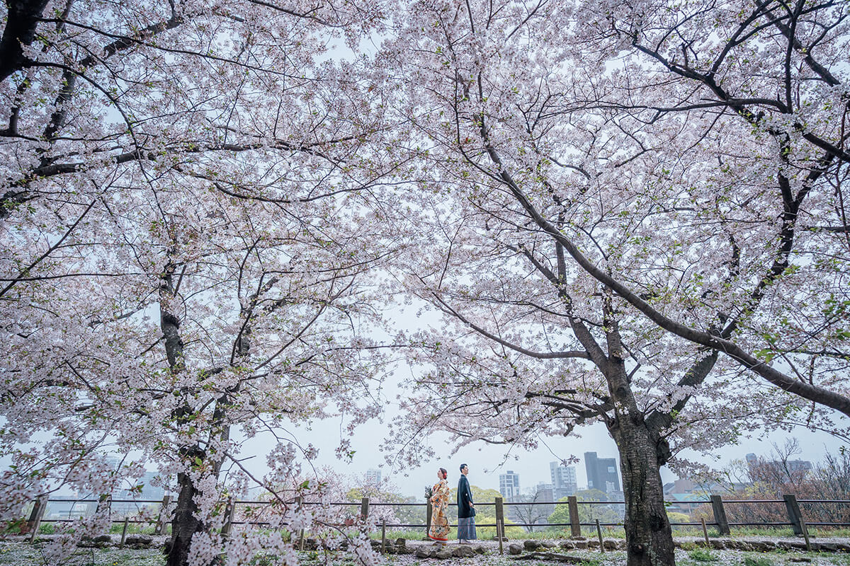 Maizuru Park [Fukuoka]