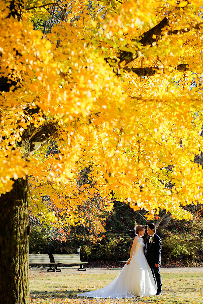 Hiroshima Botanical Garden Hiroshima