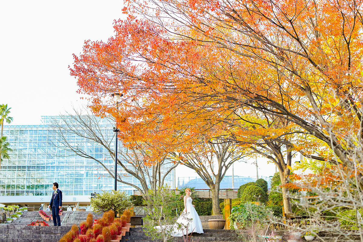 Hiroshima Botanical Garden Hiroshima