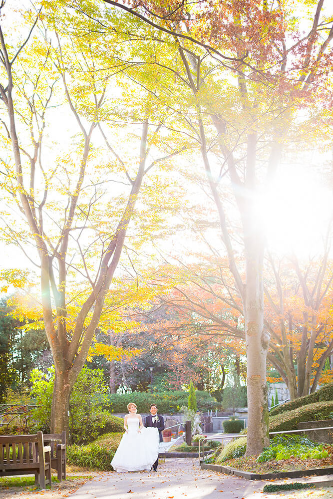 Hiroshima Botanical Garden Hiroshima