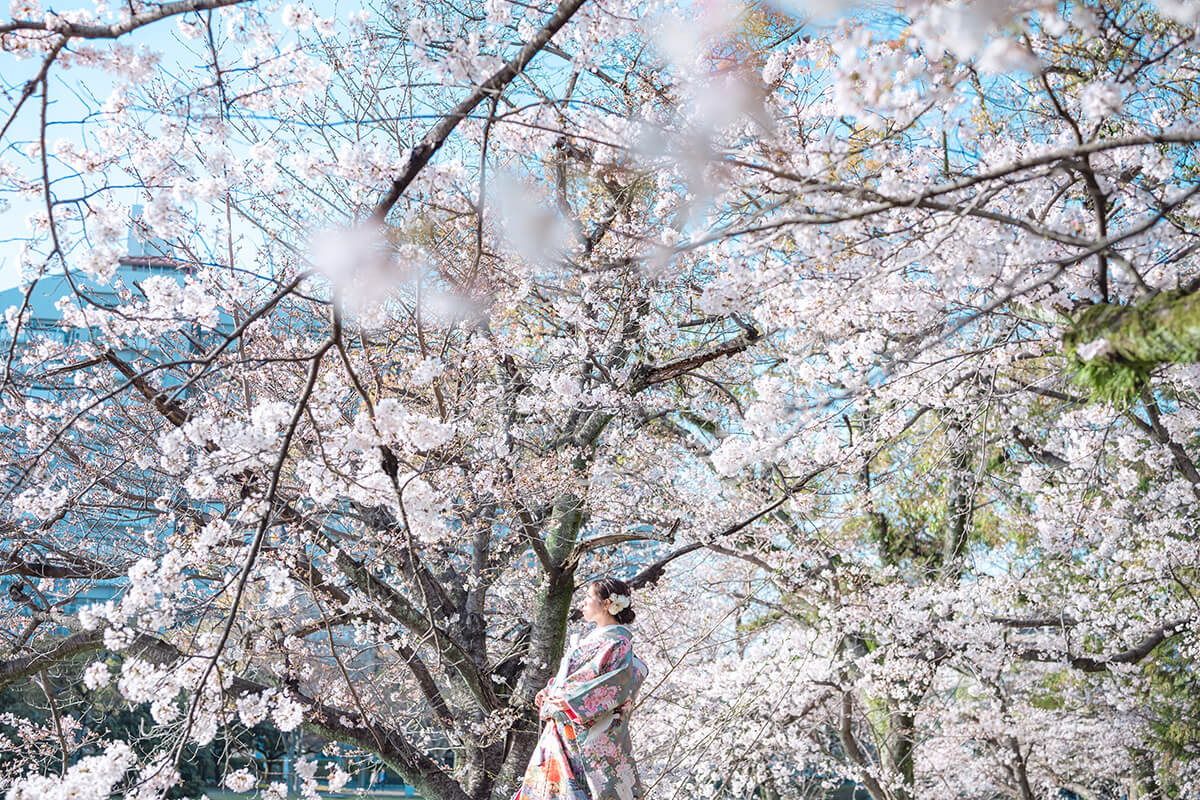 Hiroshima Castle Hiroshima