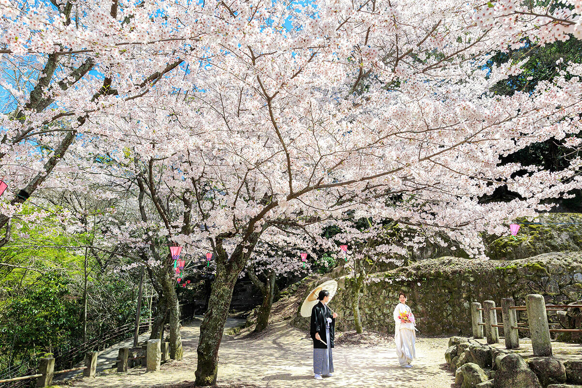 Miyajima Hiroshima