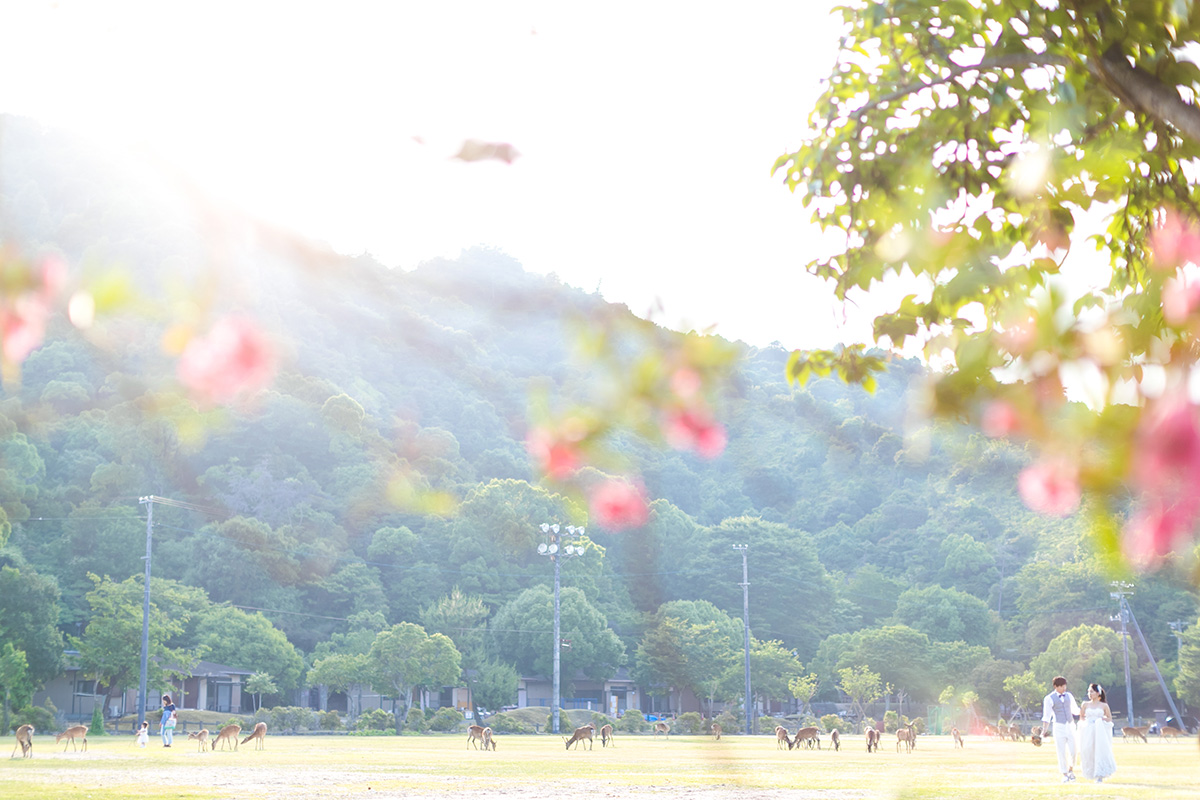 Miyajima Hiroshima