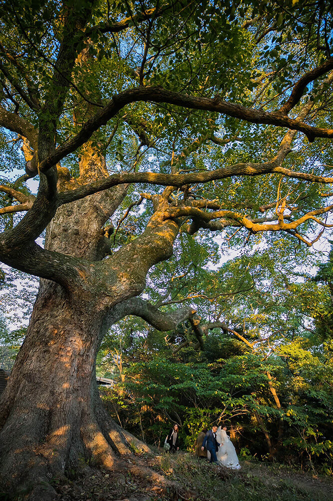 Motoujina Park Hiroshima