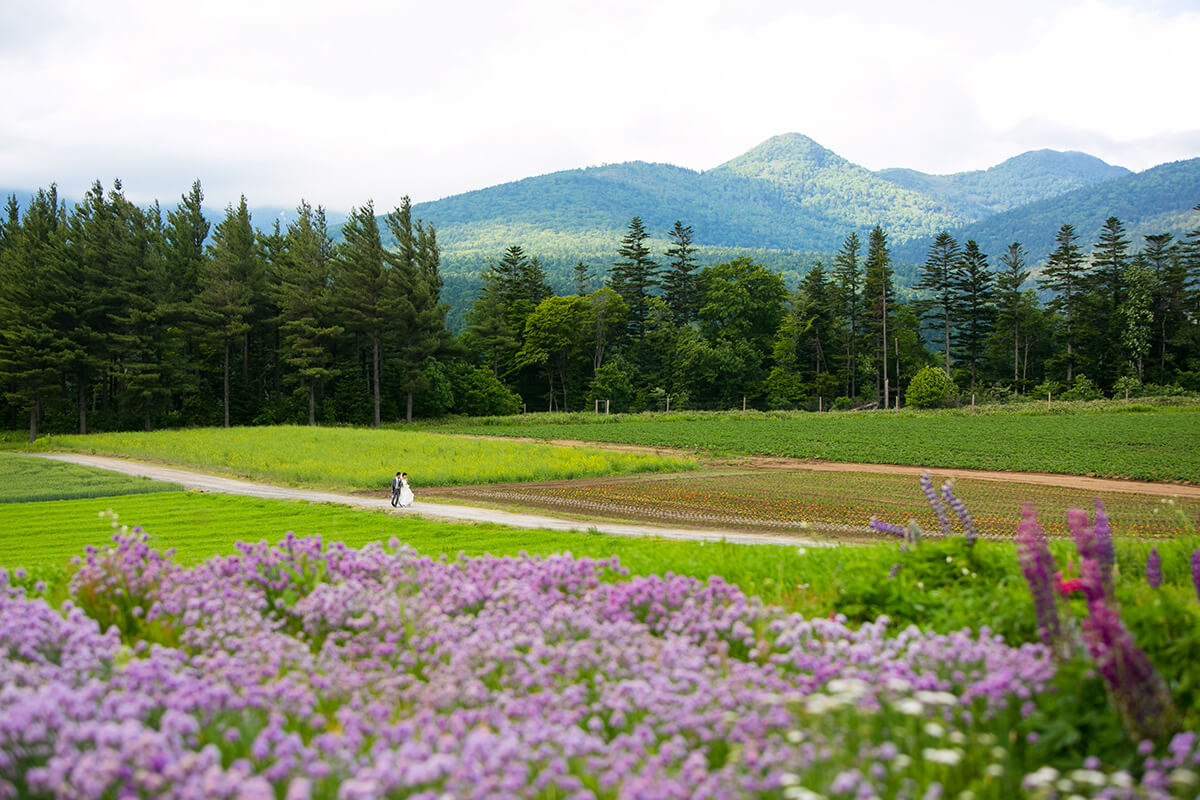 Furano Hokkaido