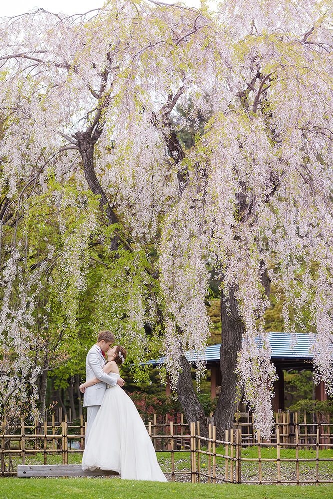 Nakajima Park