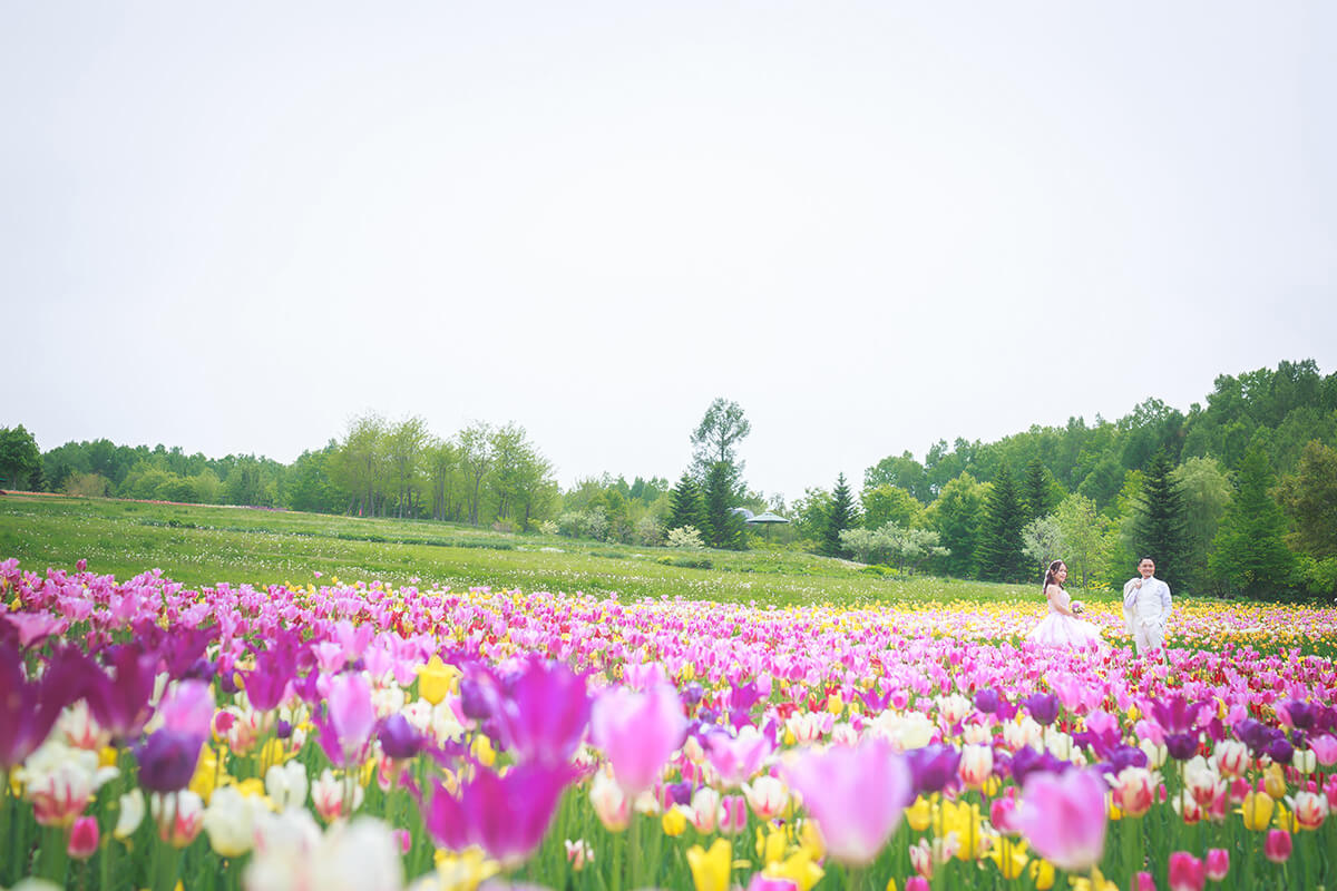 Takino Suzuran Park Hokkaido