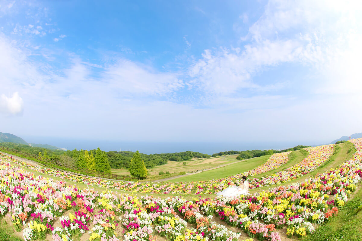 Awaji Hanasajiki Kobe